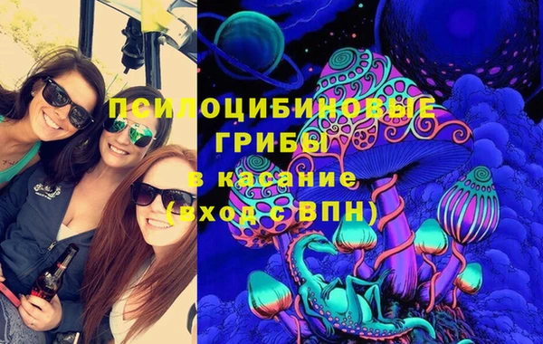 apvp Аркадак