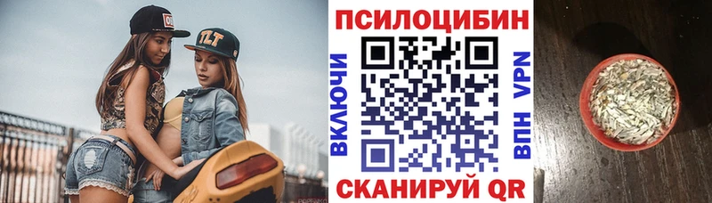 Псилоцибиновые грибы ЛСД  сайты даркнета клад  Цивильск 